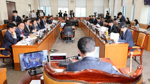 지역화폐법 개정안, 민주당 주도로 행안위 통과