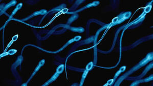 미 난임 부부, AI 기술로 남편 정자 찾아내 18년 만에 임신 성공