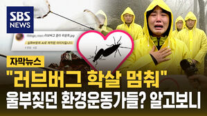 [자막뉴스] "러브버그 학살 멈춰" 환경운동가 영상? 가짜였다