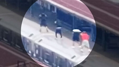 20대 사망했는데…또 지하철 올라가 '껑충껑충'