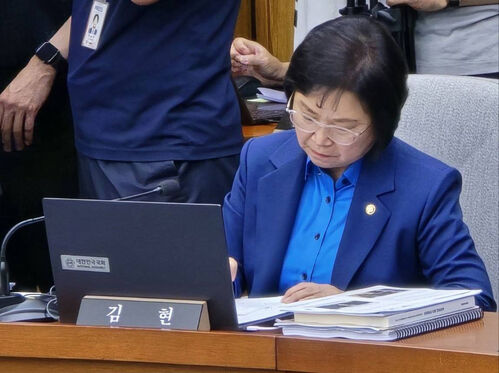 김현 민주당 의원