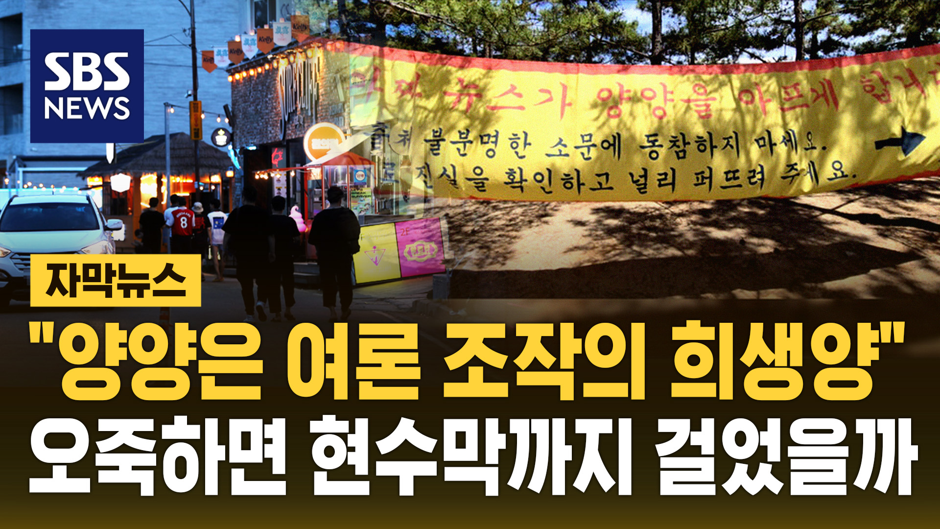 "양양 구해달라" 현수막 건 상인들…서핑 성지가 어쩌다