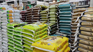 쌀 20㎏ 평균 6만 원대, 작년보다 17% 올라…정부, 할인 확대 추진