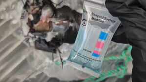 '탈탈' 파랗게 변하자 "맞네"…600kg 싣고 중국으로?