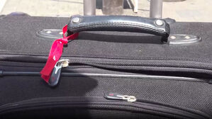 신주쿠 한복판에 캐리어…"못 건드려" 수백개 와르르