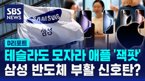 [D리포트] 테슬라 이어 애플까지 뚫었다&hellip;날개 달린 삼성반도체