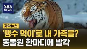 자막뉴스 맹수 먹이