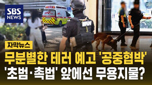 [자막뉴스] 무분별한 테러 예고, 공중협박도 '초범&middot;촉법' 앞에선 무용지물?