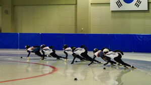쇼트트랙 대표팀, 올림픽 앞두고 극심한 잡음…정치권도 가세