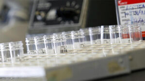 항생제 제2 황금기 온다&hellip;생성형 AI가 슈퍼버그 신약 2종 설계