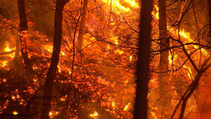 호주서 40도 넘는 폭염에 대형 산불 사흘째 확산&hellip;3명 실종