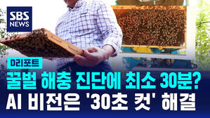 [D리포트] 꿀벌 해충 진단에 30분?&hellip;AI는 '30초 컷' 해결