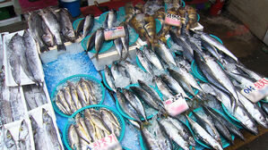 고등어·갈치·조기 작년보다 비싸다…밥상 물가 '비상등'