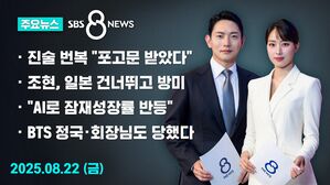 수정 0822 8뉴스 예고