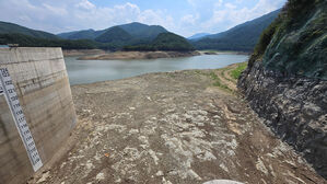 여당 지도부, '가뭄 장기화' 강릉 방문…물 공급 상황 점검