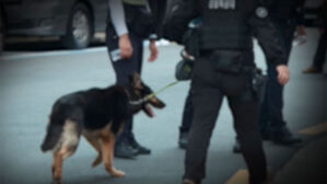 패스트푸드점 폭발물 자작극 벌인 배달기사 1심 징역 2년 8월