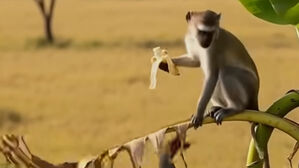 실제 아냐? 그래도 본다&hellip;AI 쇼츠 열풍