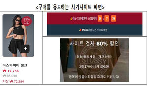 소비자원 "'알로' '스투시' 세일 SNS 광고, 사칭 주의"