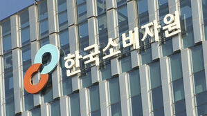 "유튜브 투자 정보 제공 업체, 상호·주소 등 사업자 정보 미흡"