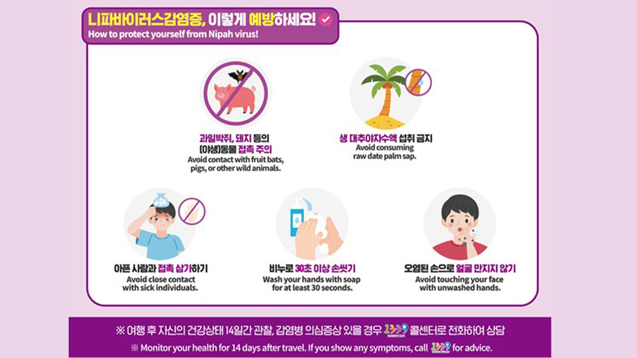 니파바이러스 (사진=질병관리청 제공, 연합뉴스)