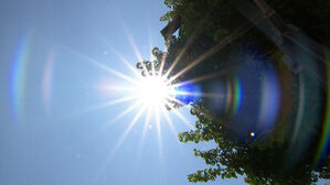 "극한고온 1℃, 1년간 소비자물가 0.56%p 끌어올린다"