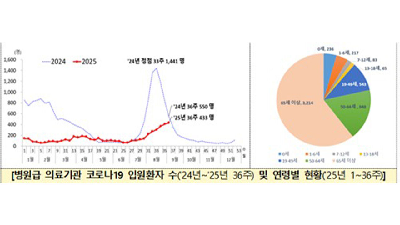 병원급 의료기관 코로나19 입원환자 수 및 연령별 현황 (사진=연합뉴스)