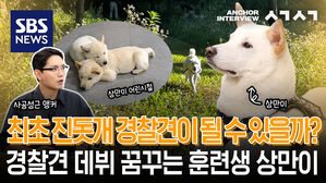 최초 진돗개 경찰견이 될 수 있을까? 경찰견 데뷔 꿈꾸는 훈련생 상만이