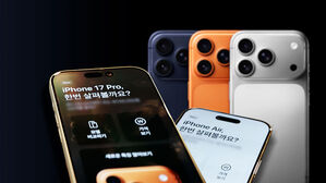 애플, 1천25억 달러로 역대최고 분기매출…아이폰 매출도 최대