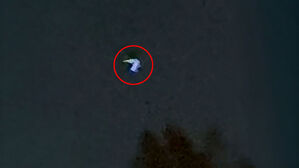 "설마 UFO?" 25분간 둥둥…발코니서 목격된 움직임