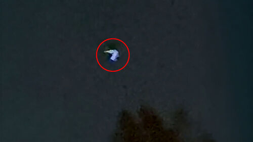 "설마 UFO?" 25분간 둥둥…발코니서 목격된 움직임