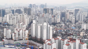 거짓 신고로 아파트값 띄웠나…425건 집중조사