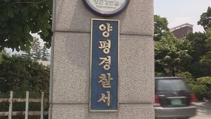 "돌보던 고양이에 누군가 화살 쏴 관통"…112 신고에 경찰 수사