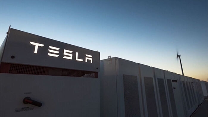 Musk Exercises Tesla Stock Options, Secures 20% Voting Power