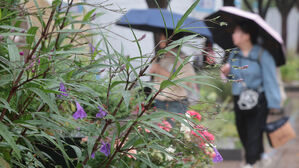 [날씨] '흐린 연휴' 계속…낮 최고 26도