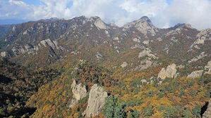 금지구역서 숨진 채 발견…인증사진 쏟아지자 "내려달라"