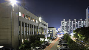 렌터카 훔친 고교생, 가로수 들이받아…절도·무면허 발각