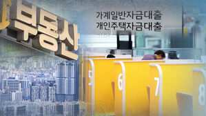 '노도강'도 강남처럼 규제?…"내 집 마련 꿈 멀어져"