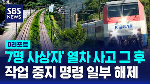 [D리포트] 경부선 작업중지 명령 해제…정상 운행 물꼬 트였다