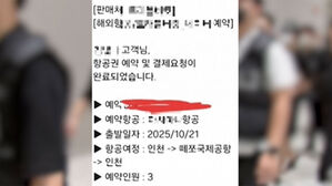 "조회수 각이네"…캄보디아행 티켓 끊은 BJ들 '논란'