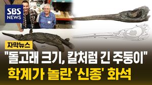 영국서 발견된 화석, 새로운 종이었다…"진화 과정 밝히는 퍼즐 조각"
