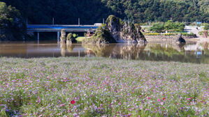 서리가 내린다는 '상강'…낮부터 기온 올라