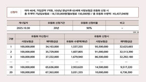 30일부터 사망보험금 연금처럼 받는다…내년 초 전보험사 확대