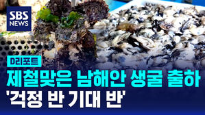 생굴디리