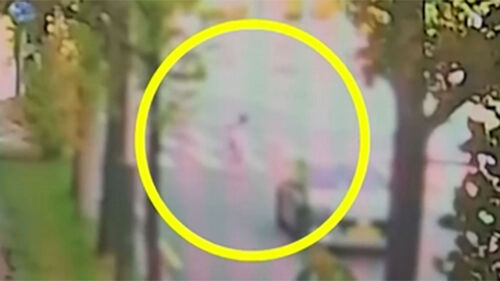 대로변 위 헤매던 아이…"정말 다행" 추격전 끝 무사히 구조
