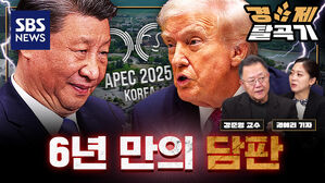 2025 APEC 세계 질서 재편 파이널 스테이지 개막 ft 강준영 한국외대 국제지역대학원 교수 | SBS 경제탈곡기