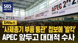 "사제총기 부품 통관" 첩보에 '발칵'…"APEC 코앞인데" 대대적 수사