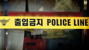 강남 한복판서 행인들 뒤로 '쌩'…횡단보도서 30대 남성 사망