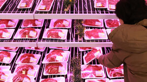 "11월 1일 '한우 먹는 날'"…농림부, 2주간 30∼50% 할인 판매