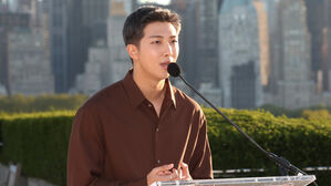 BTS RM, APEC CEO 서밋서 기조연설…K-컬처 소프트파워 알린다
