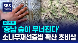 디리디리